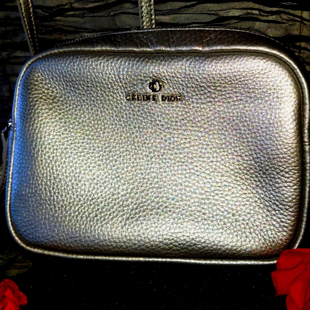 Celine Dion Silver Belt Bag with Textured Finish